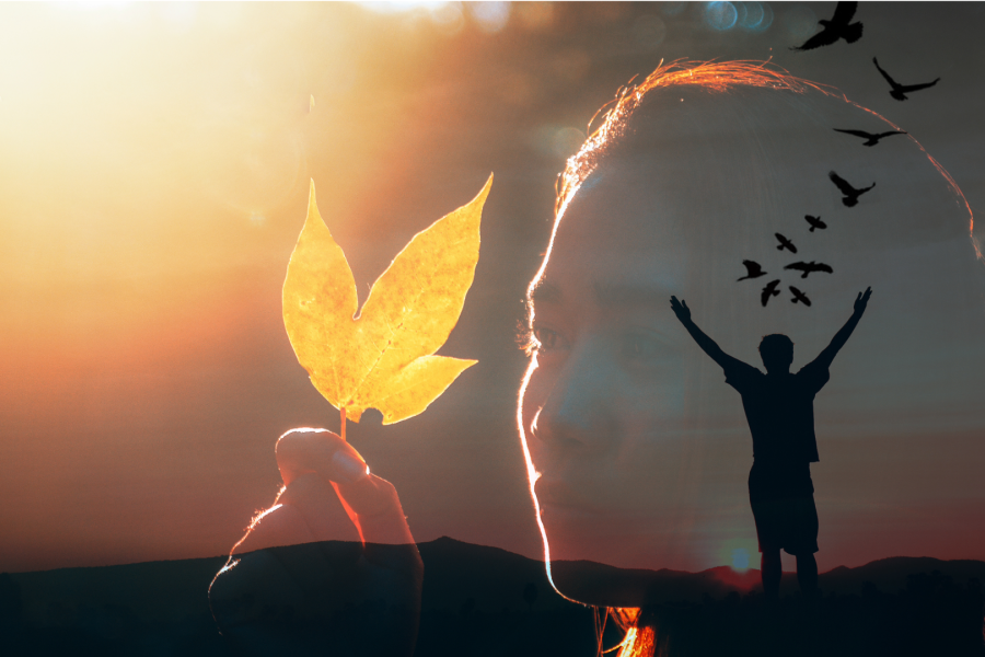 Me & We: The two wings of Happiness
