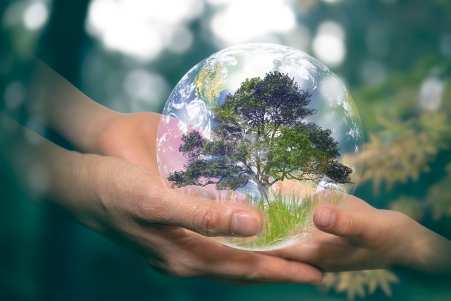 Environmental and Spiritual