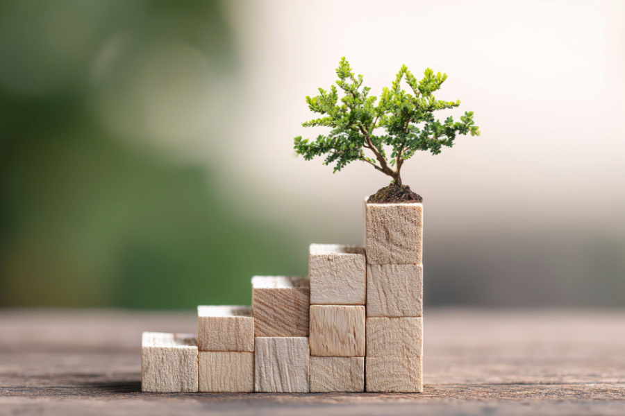 Leadership capacity